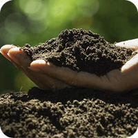 有機肥料の販売について